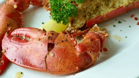 Grilled Lobster with sauce Stock Footage 84267849