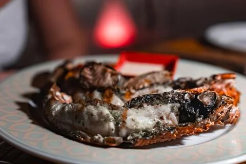 Grilled lobster split open with herb butter at a Maldives resort 写真素材