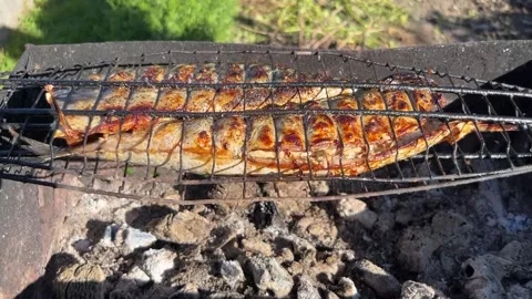 Grilled mackerel to cook in the garden in summer Stock Footage 252244567