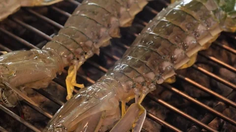 Grilled Mantis Shrimp Cooking on Charcoal BBQ Net Grill close up 库存影片 344221953