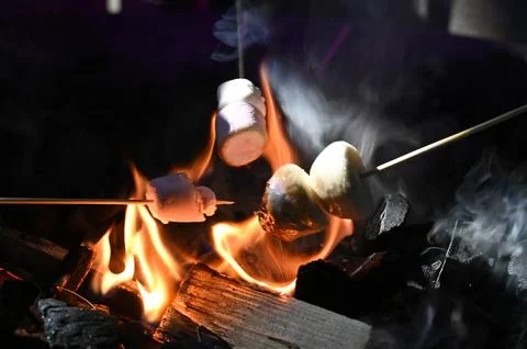 Grilled marshmallows Stock Photos