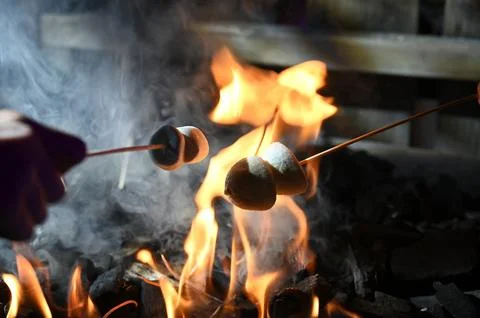 Grilled marshmallows by winter Stock Photos
