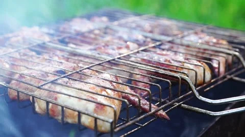 Grilled Meat on Barbeque Stock Footage 54959687