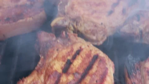 Grilled meat on charcoal close-up Stock Footage 158620935