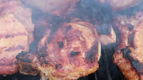 Grilled meat on charcoal close-up Stock Footage 158620938