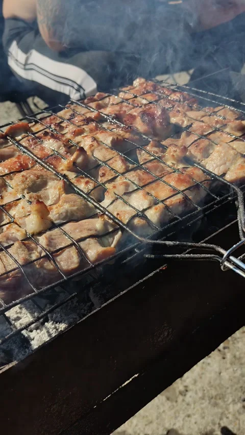 Grilled meat chunks on a metal rack over hot coals Stock Footage 334436024
