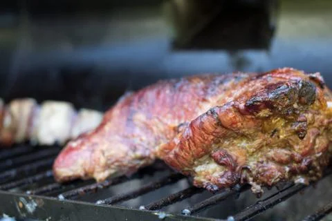 Grilled meat closeup Stock Photos