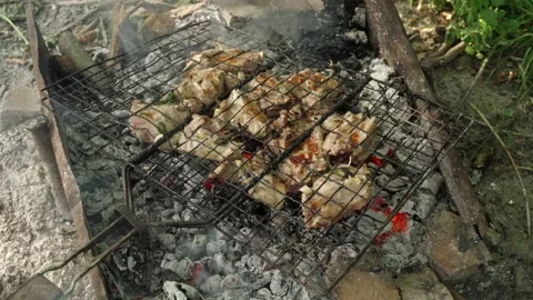Grilled meat cooking on a wire rack over glowing coals in an outdoor setting Stock Footage 339778111