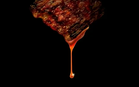Grilled meat element Illustrazione stock