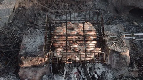 Grilled meat on a fire Stock Footage 54027263