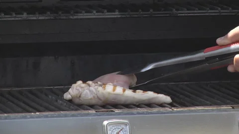 Grilled meat in the grill Stock Footage 114583544