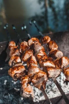 Grilled meat on the grill Stock Photos
