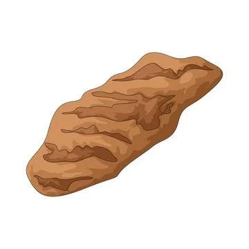 Grilled meat illustration Stock Illustration