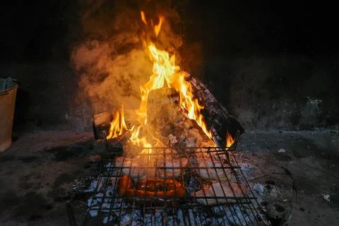 Grilled meat over a fire Stock Photos