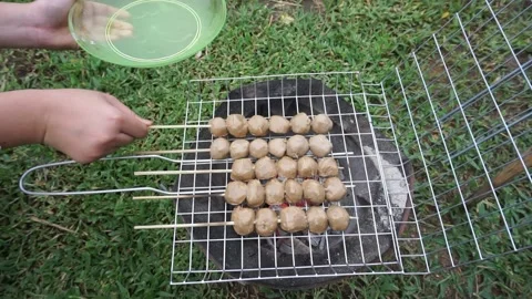 Grilled meatballs on a charcoal fire Stock Footage 162876096