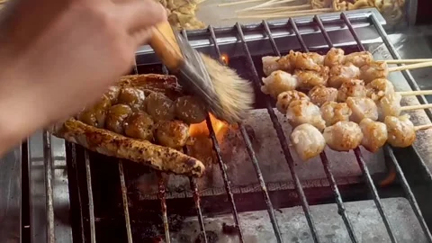 Grilled meatballs Stock Footage 310183279