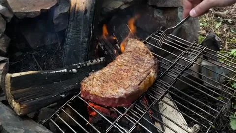 Grilled meats at camping time. Stock Footage 213516342