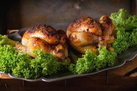 Grilled mini chicken Stock Photos