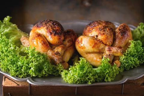 Grilled mini chicken Stock Photos