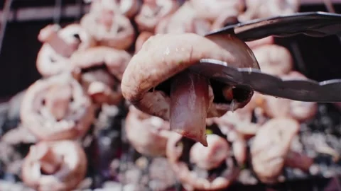 Grilled mushrooms Stock Footage 235904841