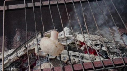Grilled mushrooms Stock Footage 235904931