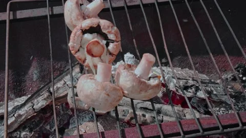 Grilled mushrooms Stock Footage 235904963