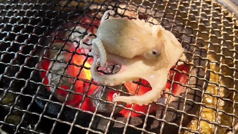 Grilled Octopus Close up on Glowing Barbecue Stock Footage 264811041