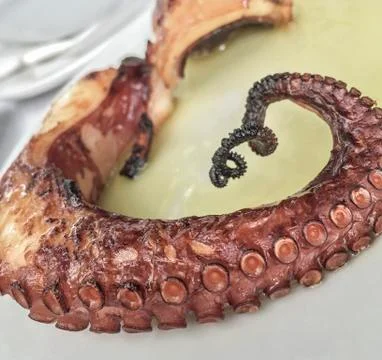 Grilled octopus Stock Photos