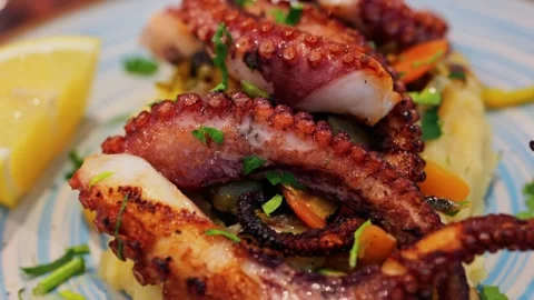 Grilled octopus tentacles served on mashed potatoes with fresh parsley and .. Stock Footage 339458181