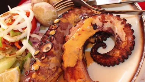 Grilled octopus with vegetables Stock Footage 235169229