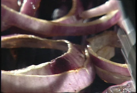 Grilled onions Stock-Footage 145322