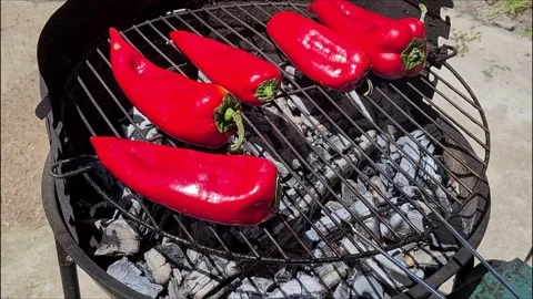 Grilled Peppers. Grilled Vegetables.  Vidéo 166793986