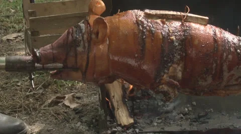 Grilled pig Stock Footage 49779536