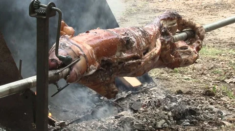 Grilled pig 库存影片 49787710