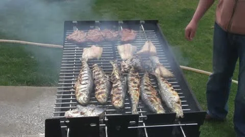 Grilled pork and fish Vídeos de archivo 11742844