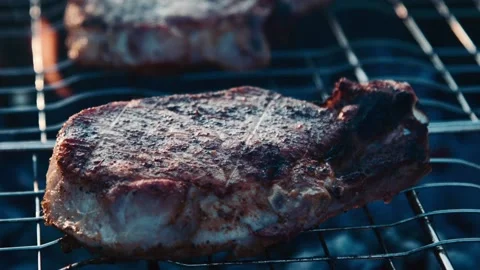 Grilled pork meat on barbeque Stock Footage 100534496