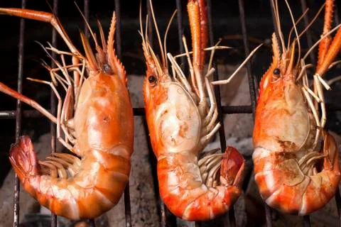 Grilled prawns Stock Photos