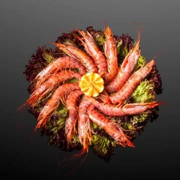 Grilled prawns. Stock Photos