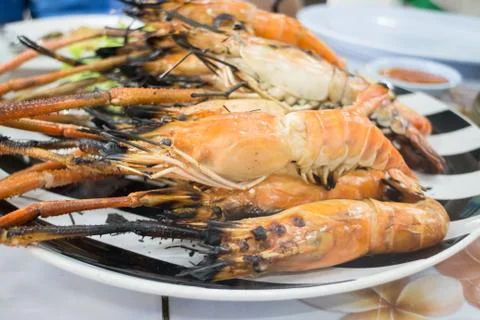 Grilled prawns serving on dish Stock Photos
