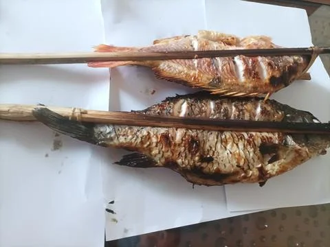 Grilled Red Snapper Fish that is so delicious and scrumptious Foto stock