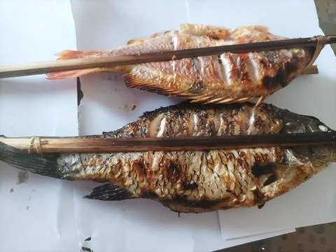 Grilled Red Snapper Fish that is so delicious and scrumptious Stock Photos