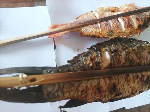 Grilled Red Snapper Fish that is so delicious and scrumptious Stock Photos