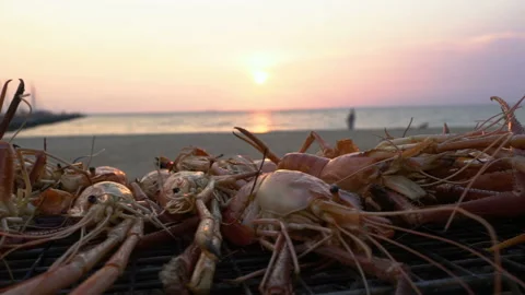 Grilled River Prawn on the beach Stock Footage 139850197