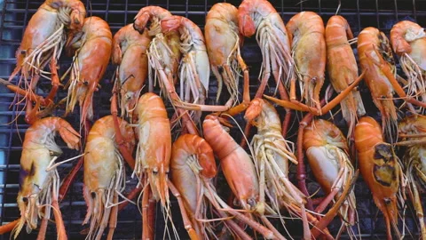 Grilled River Prawn Stock Footage 139850481