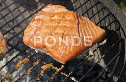 Grilled salmon fish fillet barbecue grill cooking Stock Photos