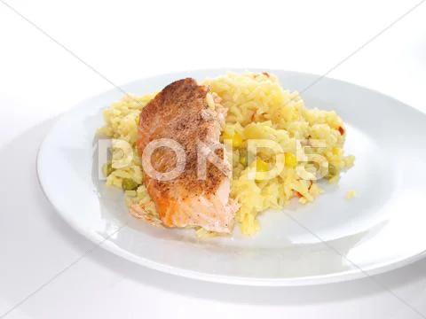 Grilled salmon fish piece Stock Photos