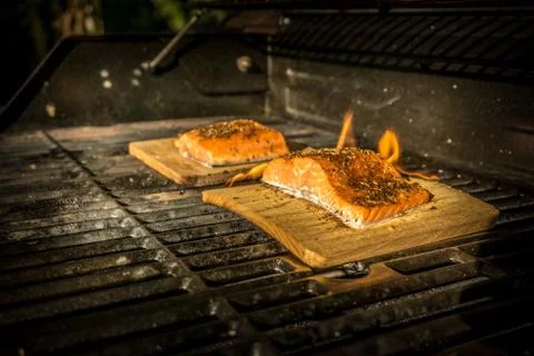 Grilled Salmon Stock Photos