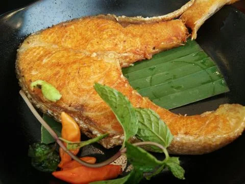 Grilled salmon Stock Photos