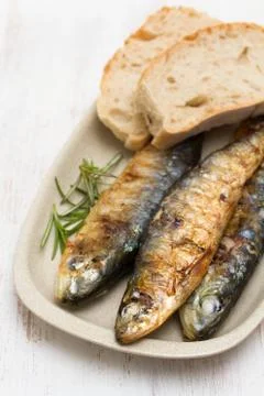 Grilled sardines with bread on dish Stock Photos