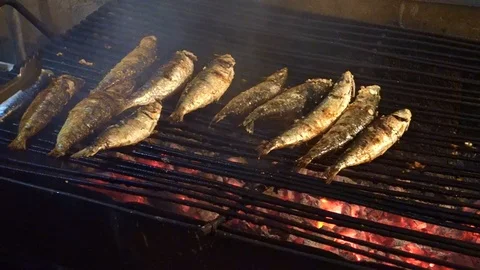 Grilled sardines on the fire Stock Footage 91686840